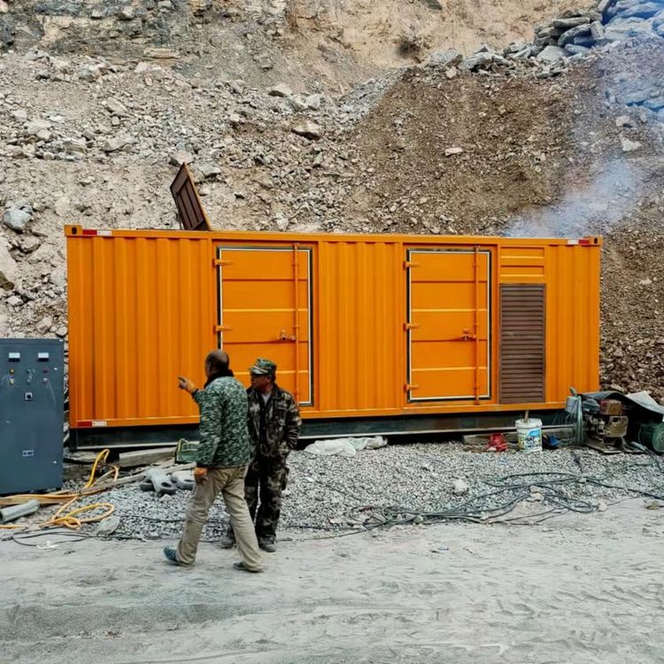 鹤峰如何选择适合自己的 800KW 柴油发电机组？